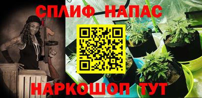 jwh Моздок
