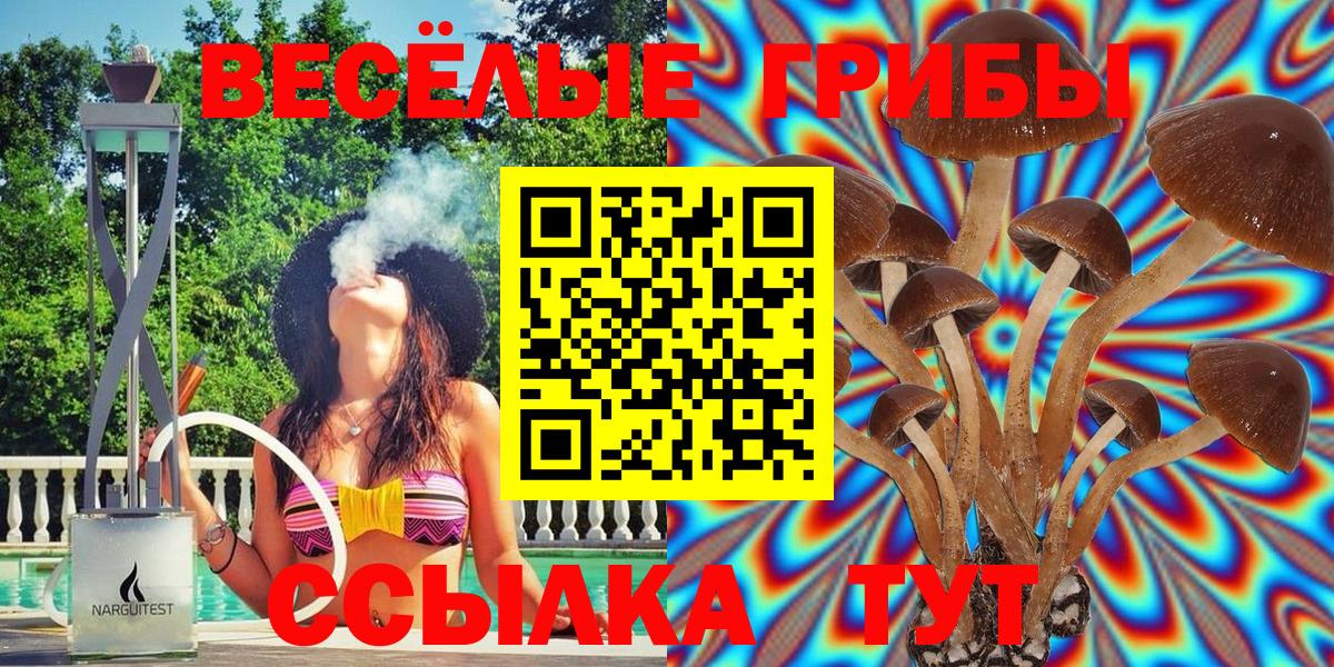 Галлюциногенные грибы MAGIC MUSHROOMS Владимир