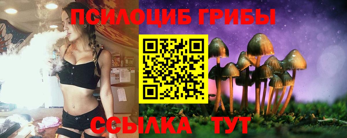 Владимир  наркотики  Вход с VPN  Псилоцибиновые грибы Psilocybine cubensis 
